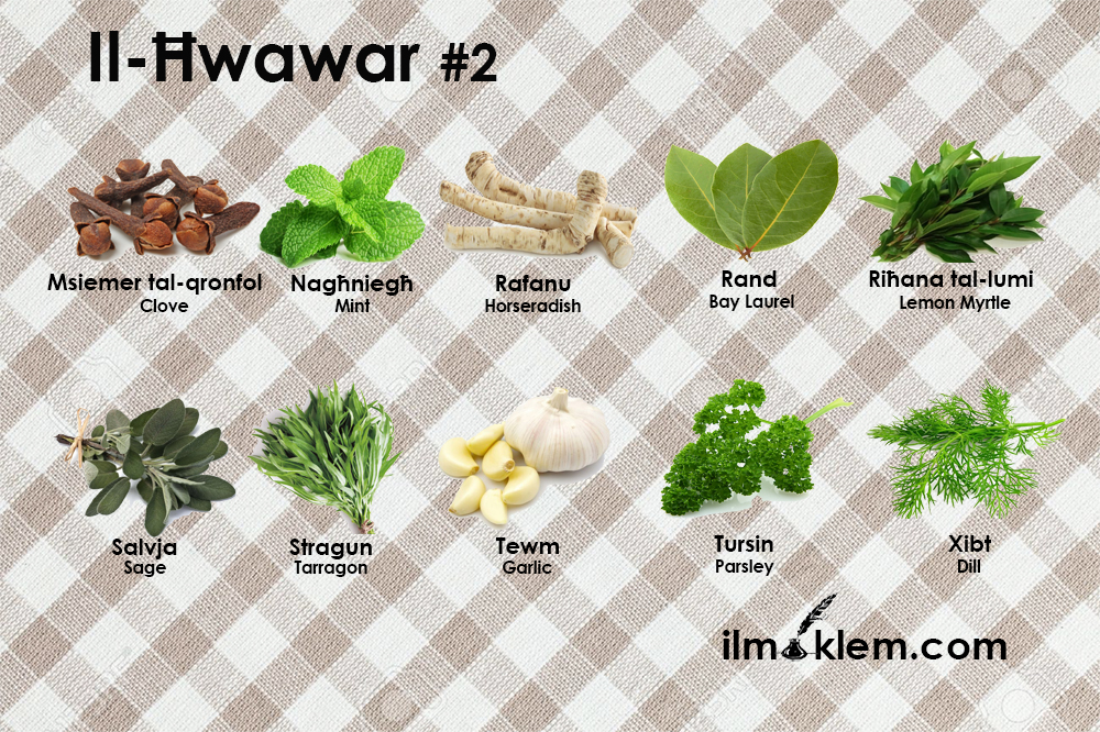 Il-Ħwawar 2