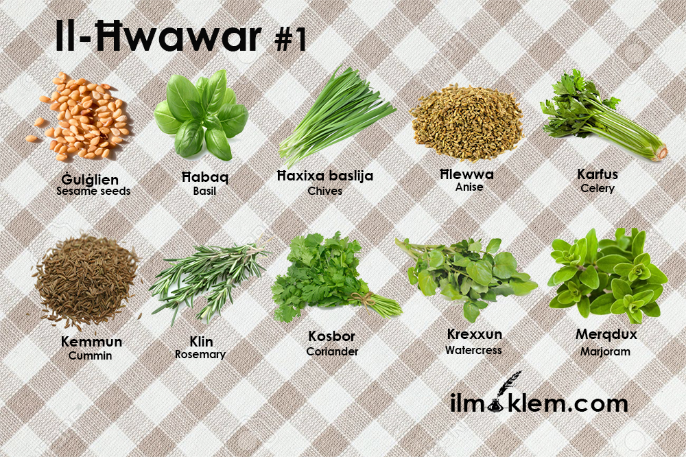 Il-Ħwawar 1