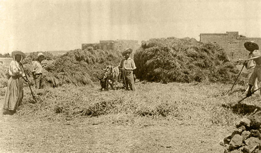 XOGĦOL IL-BIDWI:  F’ĠUNJU tal-1849