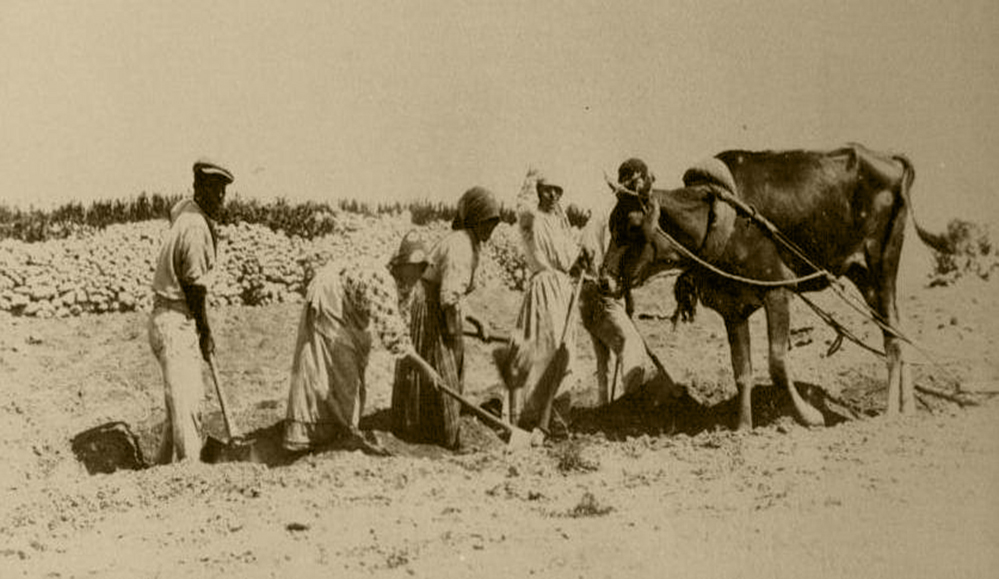 XOGĦOL IL-BIDWI:  F’MARZU tal-1850
