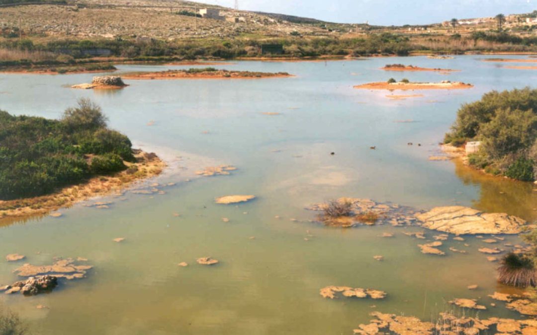 KLIEM LI M’GĦANDNIEX NITILFU: TAGĦRIF FUQ IT-TIFSIRA TAL-ISMIJIET TA’ ĊERTI POSTIJIET – IX