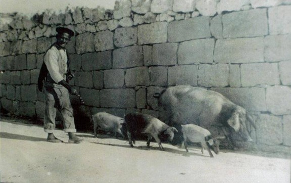 KLIEM LI M’GĦANDNIEX NITILFU: TAGĦRIF FUQ IT-TIFSIRA TAL-ISMIJIET TA’ ĊERTI POSTIJIET – XIV